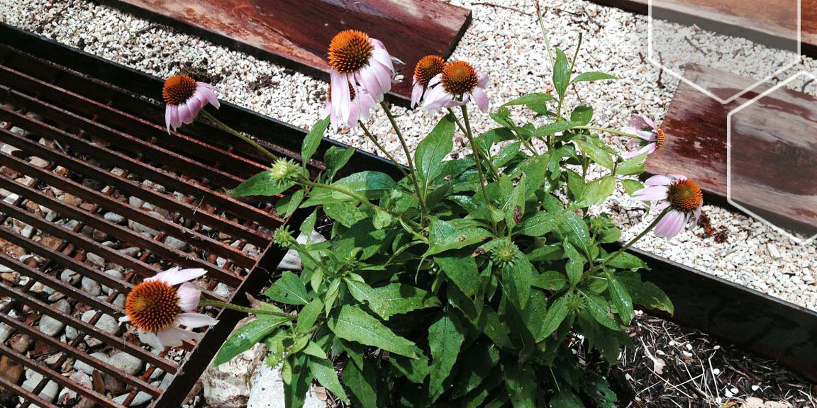 Ecpu Folia ECPU-1 | ecotopes
